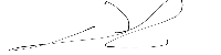 Signature 1
