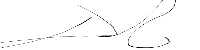 Signature 1