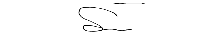 Signature 1