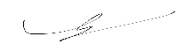 Signature 1