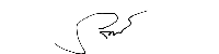 Signature 1