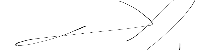 Signature 3