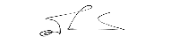 Signature 1