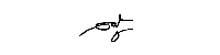 Signature 1