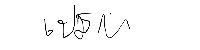 Signature 1
