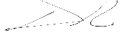 Signature 1