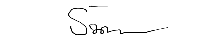 Signature 1