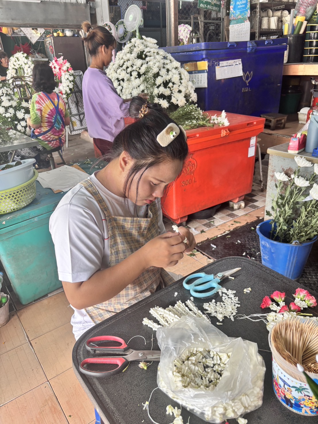 รูปภาพที่ 2